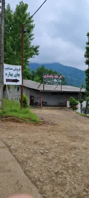 کارخانه چای اسماعیل زاده