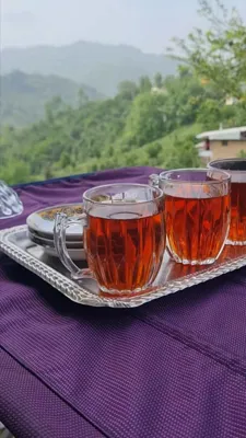 کارخانه چای اسماعیل زاده