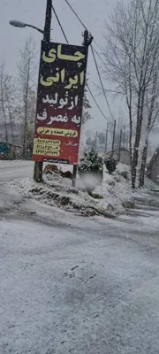 کارخانه چای اسماعیل زاده