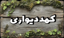 شرکت چشم انداز