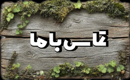 شرکت چشم انداز