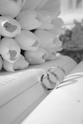 استودیو ابراهیم رحیمی