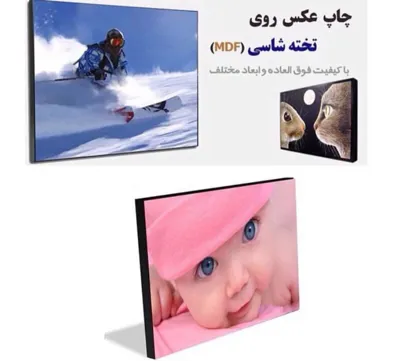 عکس سفارت گل تصویر