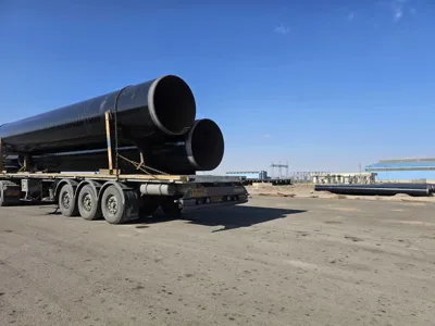 علیرضا متانت