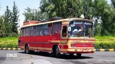 شرکتهای مسافربری شفیعی نسب