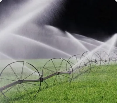 آبیاری قطره ای