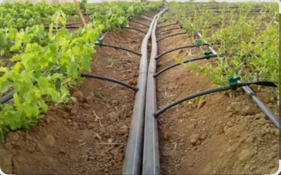 نوار تیپ آبیاری