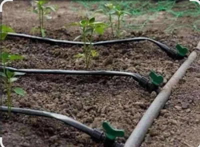 نوار تیپ پلاکدار