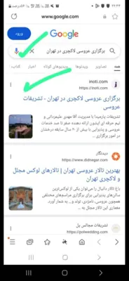 سید مسلم تقوی دانا