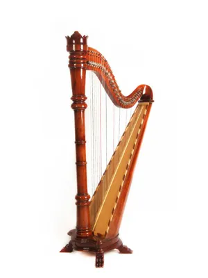 آموزشگاه موسیقی چنگ