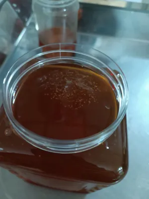 تمامی عسل ها طبیعی بدون مواد افزودنی است