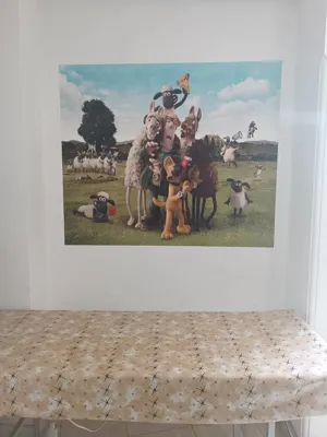 دکتر کاوه حاجی خا نی