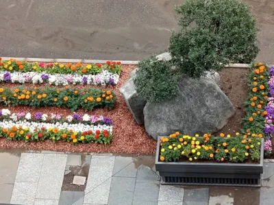 خدمات عمرانی،خدمات فضای سبز