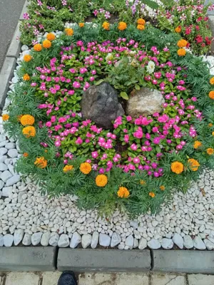 خدمات عمرانی،خدمات فضای سبز