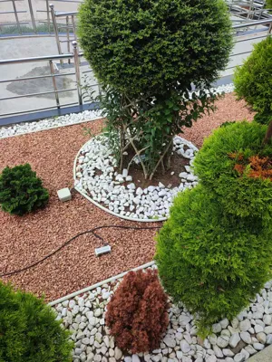 بازسازی ساختمان،خدمات فضای سبز شرکت مهندسی ساخت فراز کاچار با مدیریت جناب آقای عباس شمس