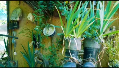 تلفیق هنر و طبیعت