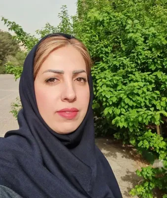 مدرس زبان دانشگاه