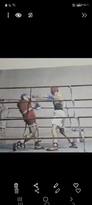  بوکس سلطان ورزش هاست 