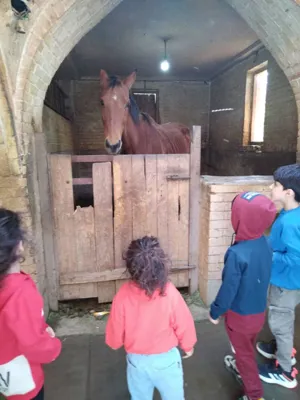 پیش دبستانی تخصصی نونهالان