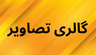 بهترین سکه فروشی کرمان