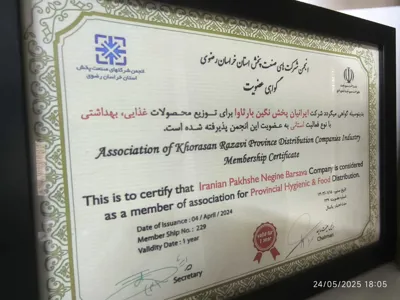 محمد صباغیان