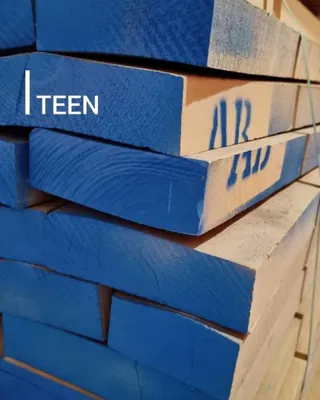 قیمت چوب راش 