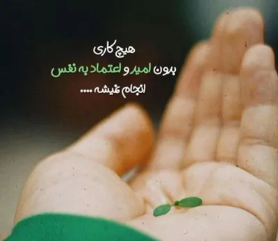 لیلا دارابی