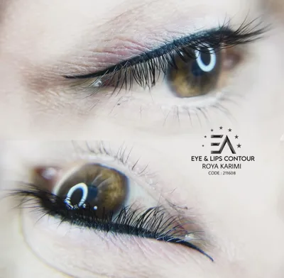 رویا کریمی کشکولی