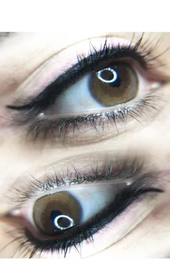 رویا کریمی کشکولی