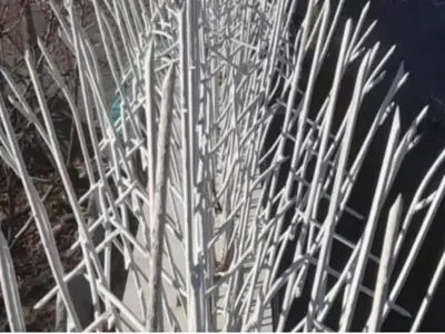 تولیدحفاظ شاخ گوزنی