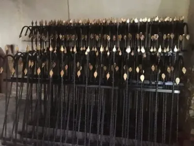 حفاظ شاخ گوزنی در اسلامشهر