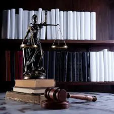 وکیل منابع طبیعی در تهران