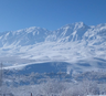 بومگردی ایران بانو