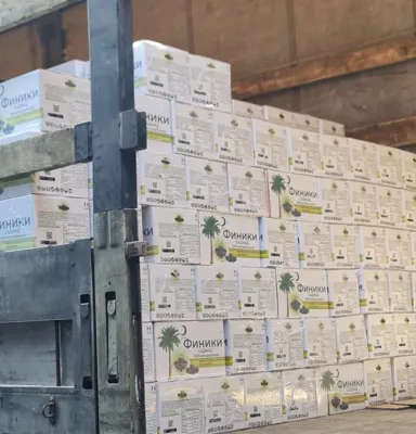 خرمای سجاد میانچیل ایران