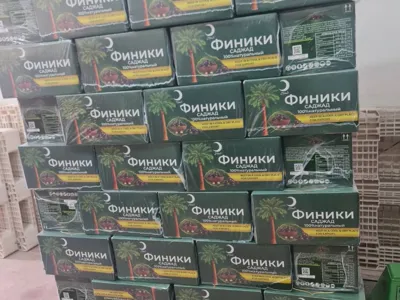 خرمای کلوته ومضافتی میانچیل ایران