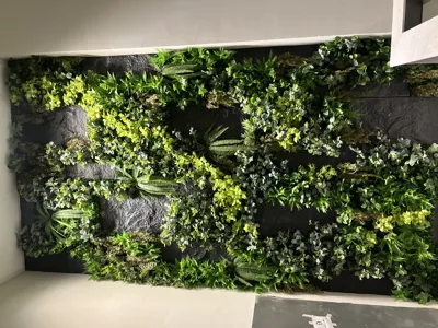 نصب گرین وال در تهران