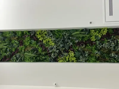 اجرای دیوار سبز