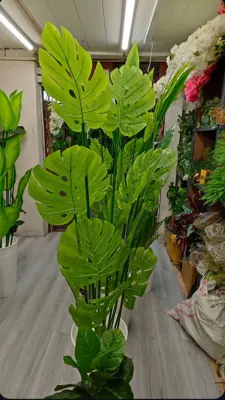 درختچه مصنوعی آپارتمانی