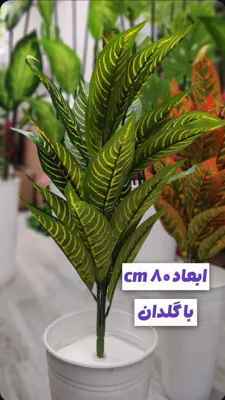 درختچه مصنوعی آپارتمانی