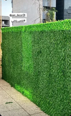 فنس برگ ریحون