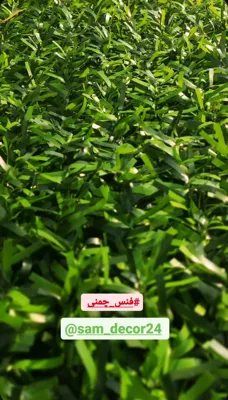 خرید فنس چمنی