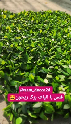 فنس برگ ریحون