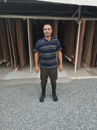 قالی شویی محسن