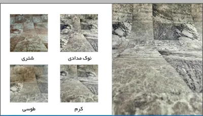 سپاهان موکت