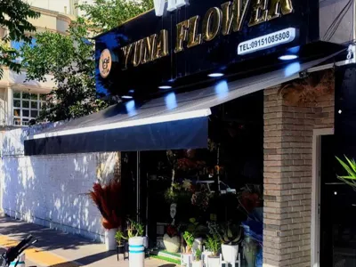 راه اندازی سقف بازویی