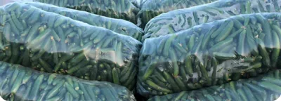 تولیدی نایلون ونایلکس