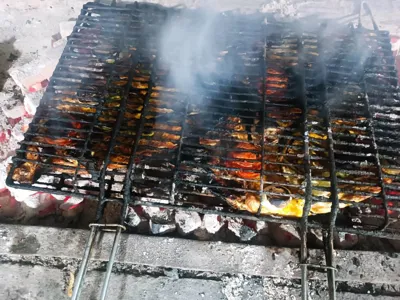 ماهی غزل آلا کبابی در ورزنه