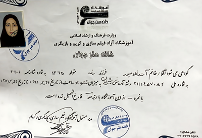 گواهی مهارت رنگ،مش و شینیون