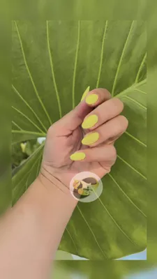 بهترین سالن زیبایی بم 