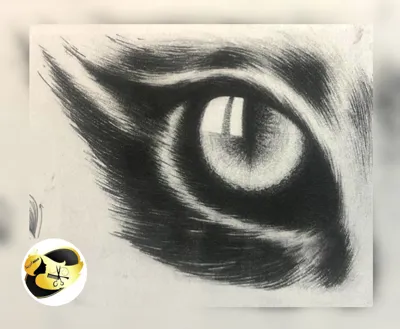 تاتو در بهترین سالن زیبایی بم نایس آدرینا